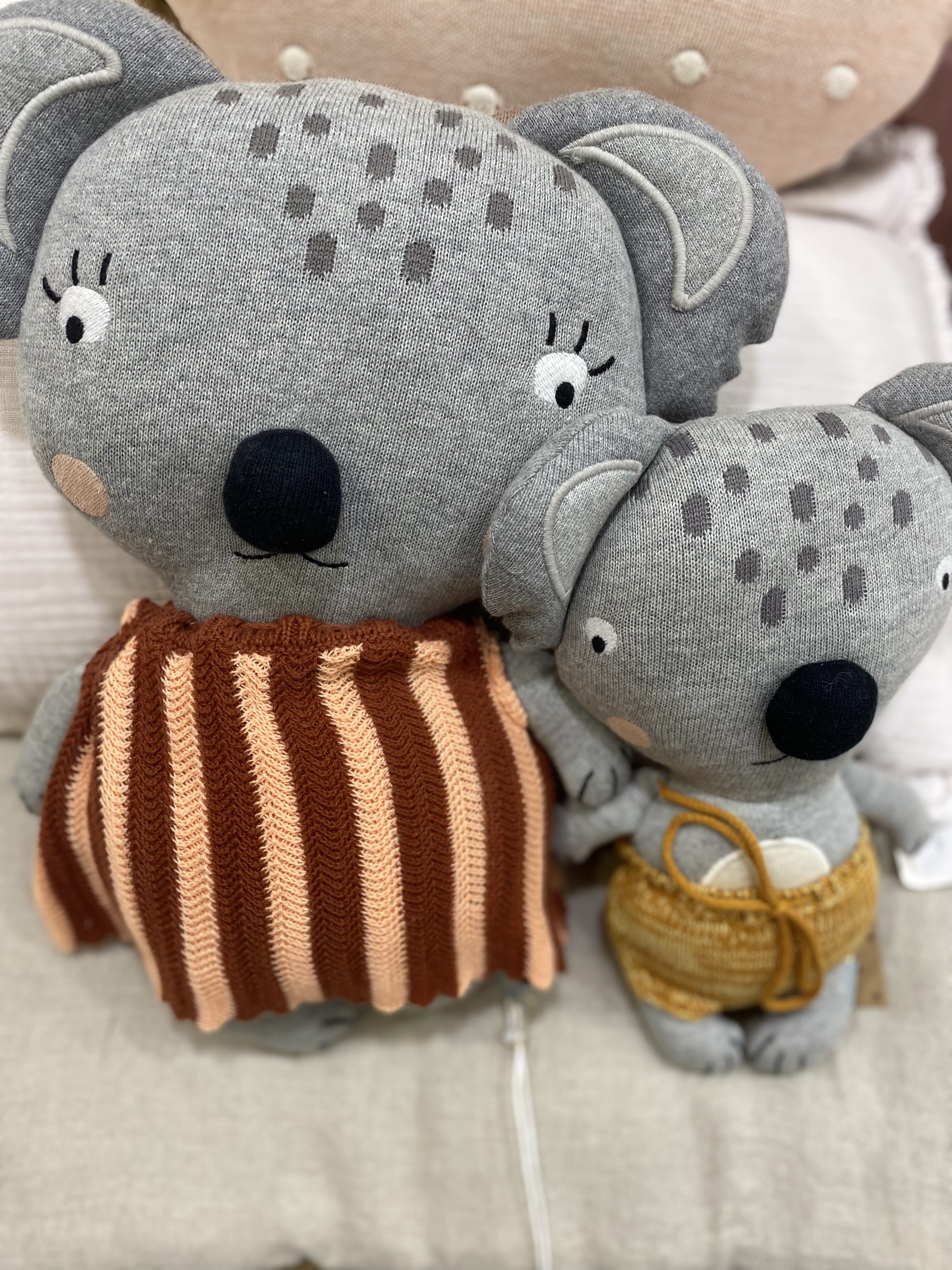 Baby anton koala