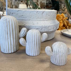 Cactus trio crème