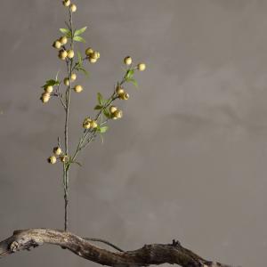 Branche hawthorn jaune