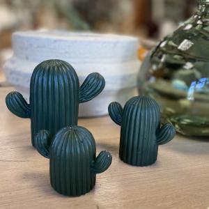 Cactus en trio kaki