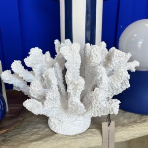 Corail poly blanc m