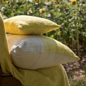 Coussin talc citrus