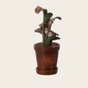 Plante dans son pot