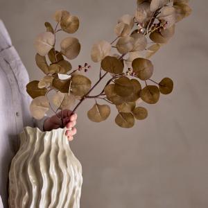 Eucalyptus tige marron