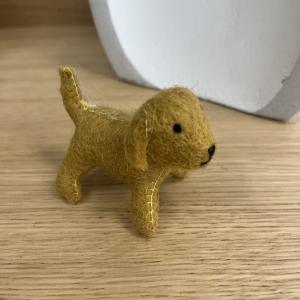 Chien labrador