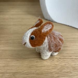 Baby lapin