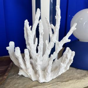 Corail poly blanc s