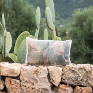 Nature inside cactus