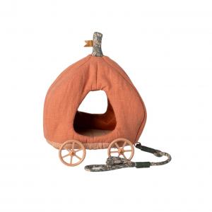 Carrosse citrouille