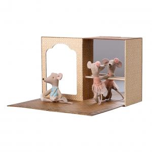 Studio de dance avec petit souris