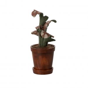Plante dans son pot